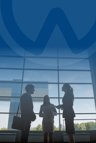 Consulting Services