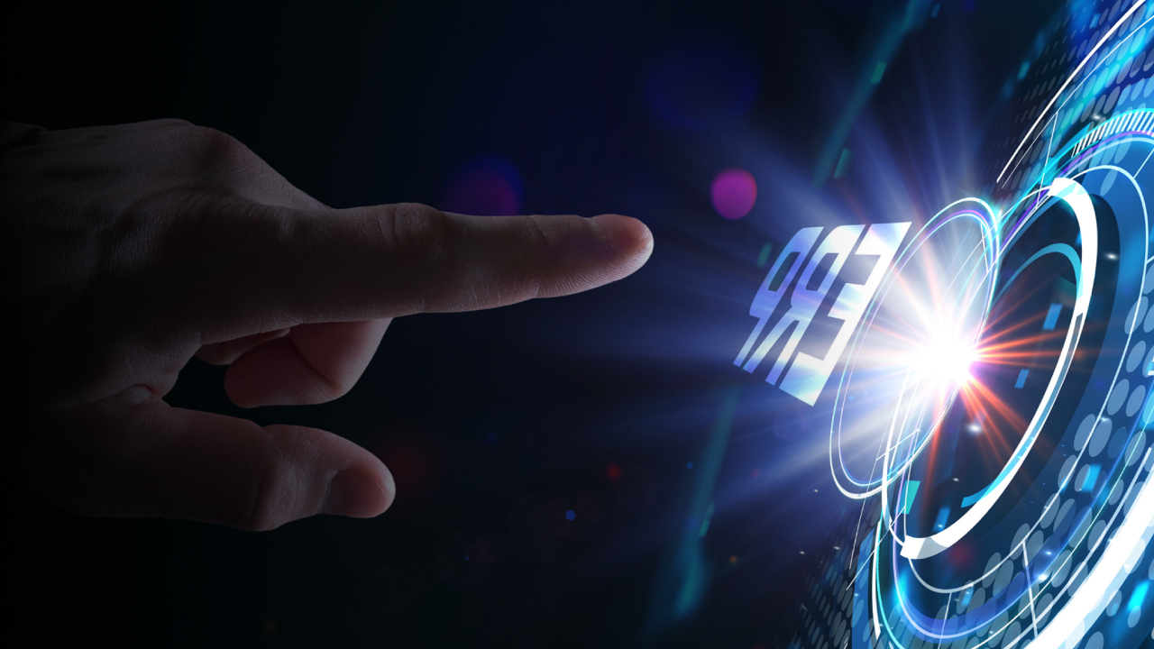 Enterprise System & ERP